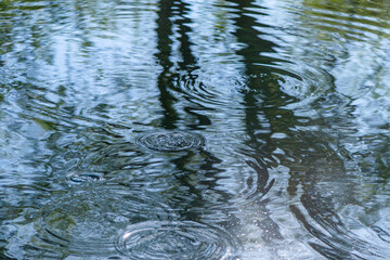 Circles on the water in the river from the movement of fish, fishing