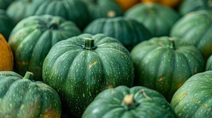 Green pumpkins, freshly harvested and neatly organized in rows at the market, emphasizing the peak of harvest season