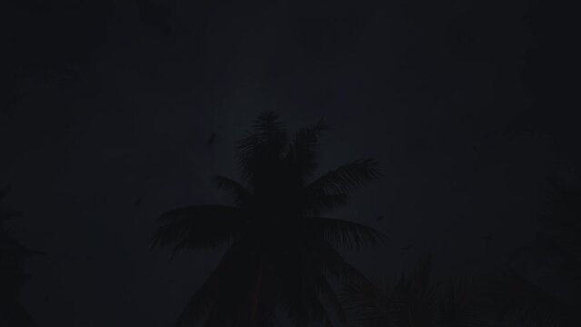 Background with silhouette of palm tree on dark blue sky with flying foxes bat. Travel, tourism, vacation, journey, trip. Paradise, tropical resort, place of dream, environment tropics in summer night
