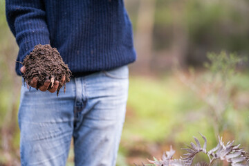 regenerative organic farmer, taking soil samples and looking at plant growth in a farm. practicing sustainable agriculture in spring