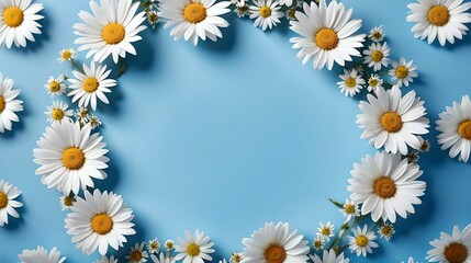 Obraz premium Chamomiles on a blue background, top view, empty space place for text. banner