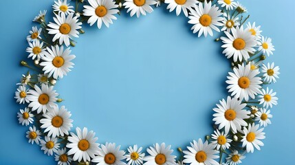 Obraz premium Chamomiles on a blue background, top view, empty space place for text. banner