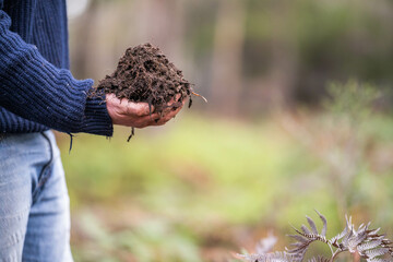 soil falling around a test tube collecting a soil sample in a paddock on a farm. scientist studying soil health and biology in a field in australia in spring