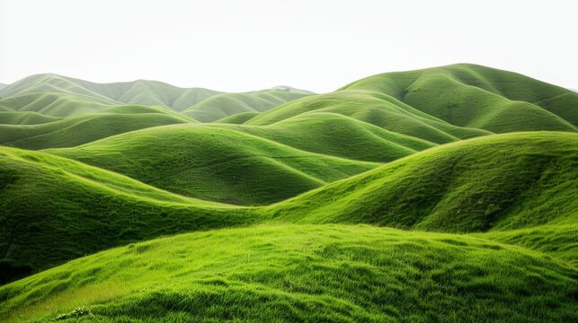 A picturesque landscape of rolling green hills set against a white background. The lush, grassy hills create a sense of tranquility and serenity, evoking natural beauty and peacefulness.
