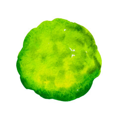 green abstract stain watercolor isolated background