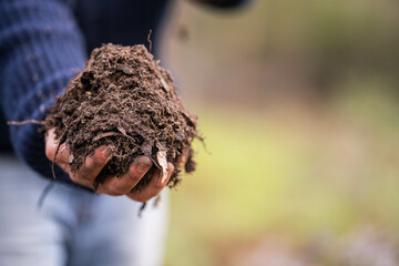 farmer collecting soil samples in a test tube in a field. Agronomist checking soil carbon and plant health on a farm in  a field