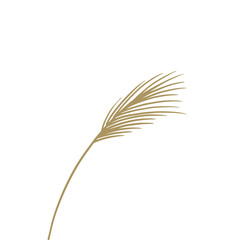 Reed traditional retro botanical illustration