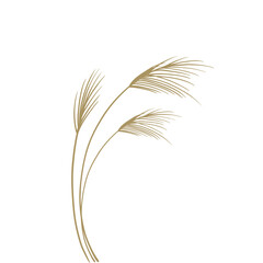 Reed traditional retro botanical illustration