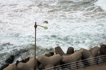 High-angle view of the street lamp against the sea on a windy day