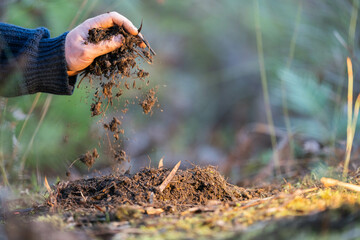 climate change effects soil, studying soil health and life, in national park forests and in agriculture in australia