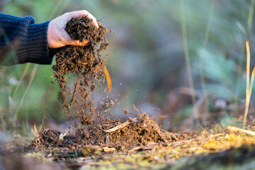 turning a compost pile in a community garden. compost full of microorganisms. sustainable regenerative agriculture