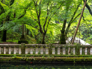 室生寺の青紅葉と池の風景