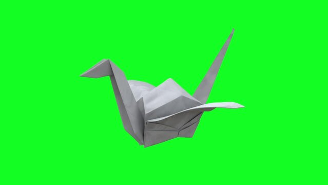 Paper crane origami flying on green screen