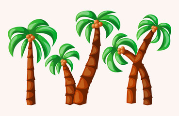 vector coconut tree illustration set