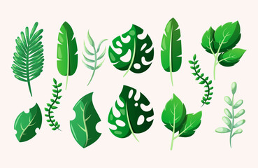 illustration of summer leaf variation collection
