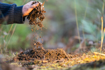 turning a compost pile in a community garden. compost full of microorganisms. sustainable...