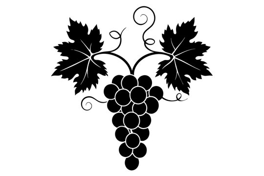 recommend clip art: grape fruit silhouette vector illustration