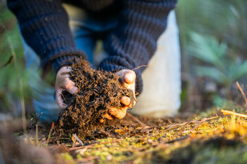 soil falling around a test tube collecting a soil collecting a soil sample in a paddock on a farm australian agronomist practicing agronomy innovation on a organic regenerative agriculture, for cows