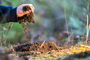 turning a compost pile in a community garden. compost full of microorganisms. sustainable regenerative agriculture