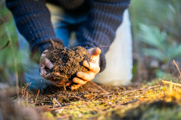 farmer collecting soil samples in a test tube in a field. Agronomist checking soil carbon and plant...