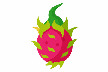 dragon fruit vector illustration