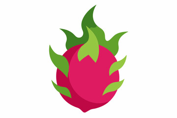 dragon fruit vector illustration