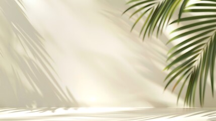 Fototapeta premium Minimalistic summer background with blurred palm leaf shadows on cream wall