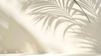 Obraz premium Minimalistic summer background with blurred palm leaf shadows on cream wall