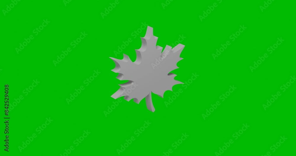 Poster animation of rotation of a white maple leaf with shadow. simple and complex rotation. seamless loope
