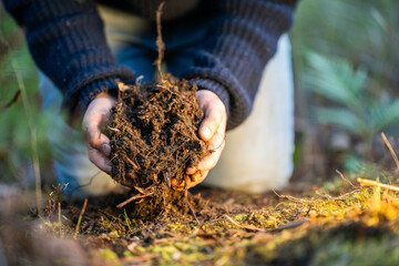 climate change effects soil, studying soil health and life, in national park forests and in agriculture in australia