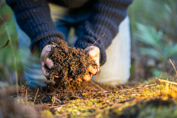 farmer collecting soil samples in a test tube in a field. Agronomist checking soil carbon and plant health on a farm in  a field