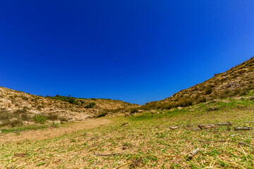 Croatian wildlife blue Adriatic Sea rocky beaches for naturists