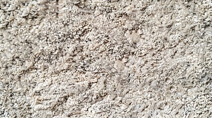 Obraz premium Background with fine grained carpet texture