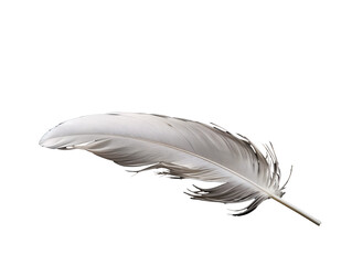 Obraz premium a white feather on a black background