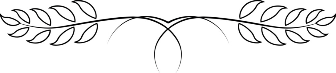 Hand drawn text divider isolated on white background. Floral text divider. Vintage.