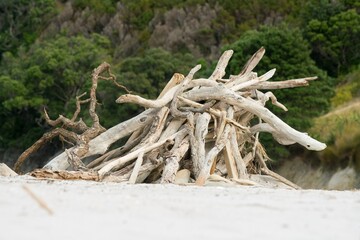driftwood shelter on a sunny beach