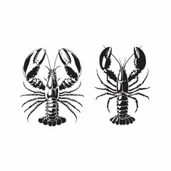 set of lobster vector illustration.
