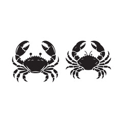 illustration of a crab