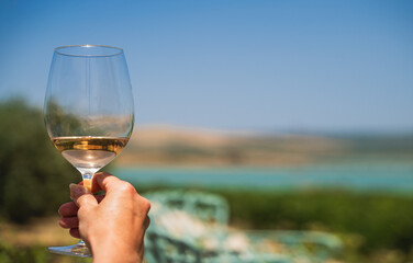Holding a Glass of White Wine in a Vineyard - copy space