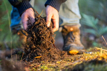 regenerative organic farmer, taking soil samples and looking at plant growth in a farm. practicing sustainable agriculture in spring