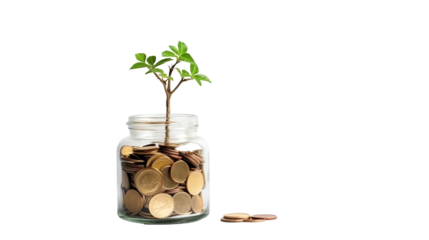 a glass jar with coins and a plant growing out of it
