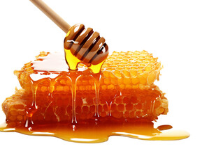 honeycombs with a wooden stick dripping from a honey dipper