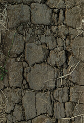 Top view of the dried up cracked soil. The ground cracks, hot climate, lack of moisture.