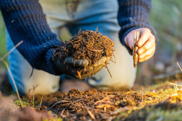 turning a compost pile in a community garden. compost full of microorganisms. sustainable...