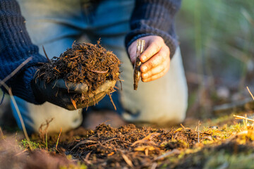 climate change effects soil, studying soil health and life, in national park forests and in...