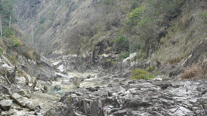 The river valley landscape with the mountains and forest as background in spring