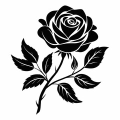 black and white roses