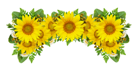 Sunflowers and wild flowers in a summer floral frame isolated on white or transparent background