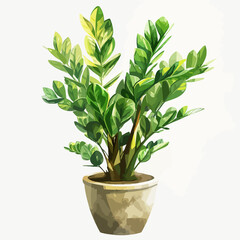 Potted Plant Watercolor Vector Illustration.