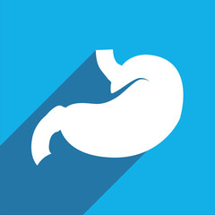 stomach icon design vector template